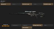 SP-X 80 loadout (Image via sym.gg)